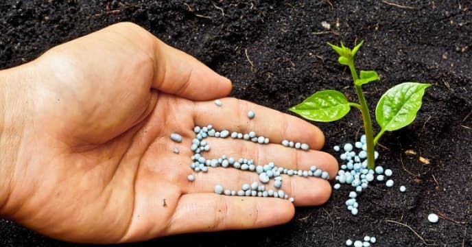 تصویر 4 از کود اوره حاوی نیتروژن بالا جهت رشد سریع گیاهان زراعی و باغی